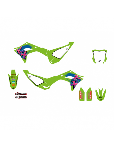 Kit déco BLACKBIRD Retro Kawasaki