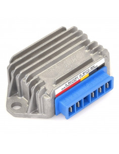 Régulateur TECNIUM by DZE 2