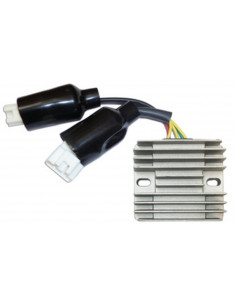 Régulateur TECNIUM by DZE 2