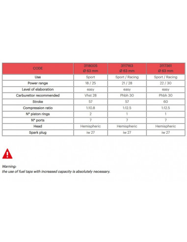 Kit cylindre MALOSSI ø63mm