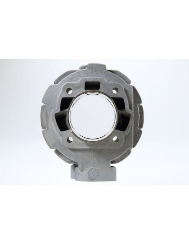 Kit cylindre MALOSSI ø65mm