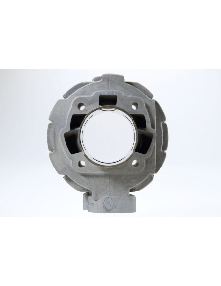 Kit cylindre MALOSSI ø65mm