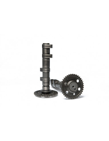 Arbre à cames MALOSSI Power Cam