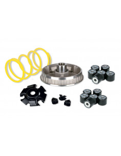 Variateur MALOSSI Multivar 2000 2