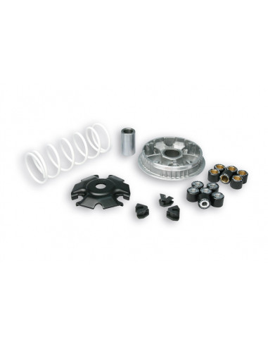 Variateur MALOSSI Multivar 2000