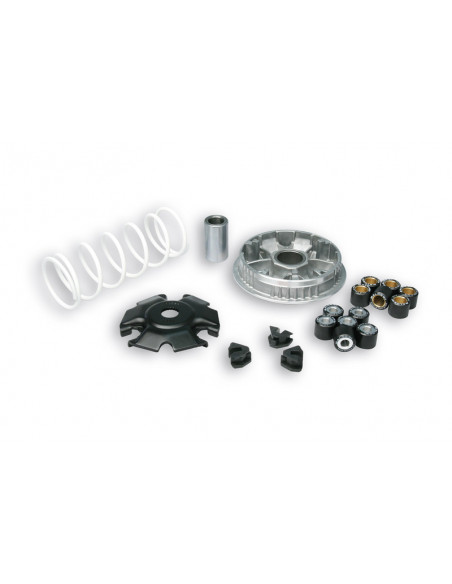 Variateur MALOSSI Multivar 2000