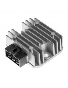 Régulateur TECNIUM by DZE 2