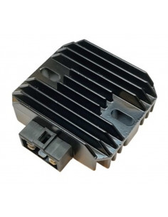 Régulateur TECNIUM by DZE 2