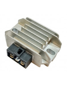 Régulateur TECNIUM by DZE 2