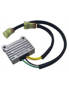 Régulateur TECNIUM by DZE 2