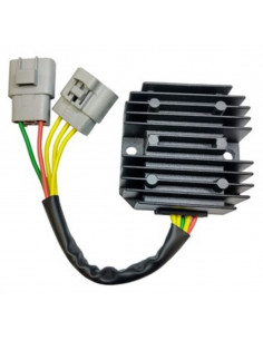 Régulateur TECNIUM by DZE 2