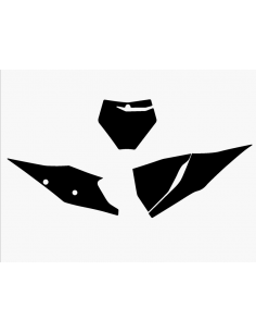 Fonds de plaque BLACKBIRD 2