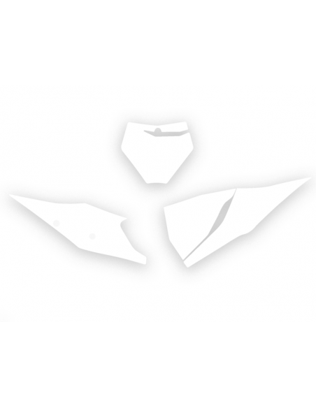 Fonds de plaque BLACKBIRD