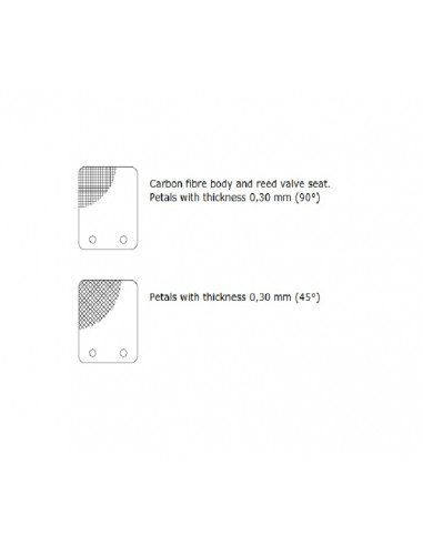 Clapet MALOSSI VL13 pétale carbone 0,30mm 45°