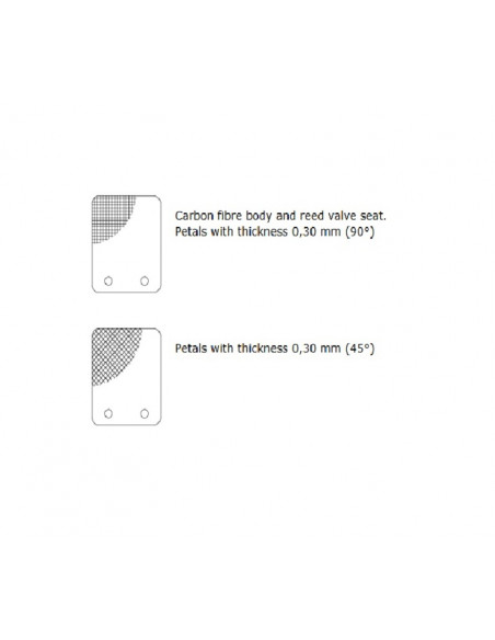 Clapet MALOSSI VL14 pétale carbone 0,30mm 45°