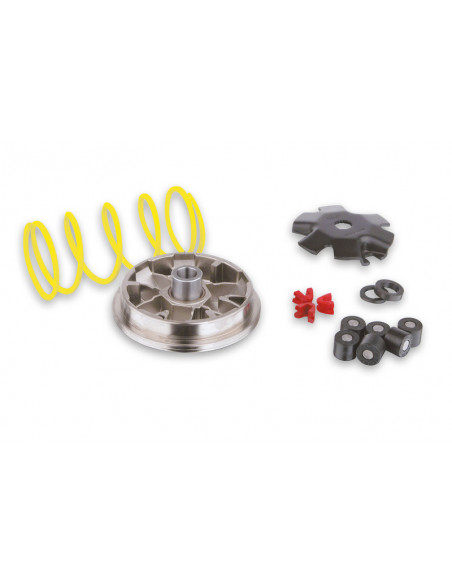 Variateur MALOSSI Multivar