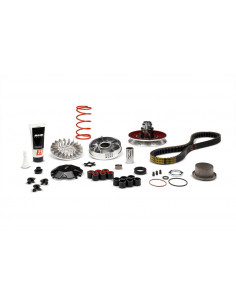 Groupe de transmission complet MALOSSI Over Range MHR aluminium Yamaha/Minarelli 2
