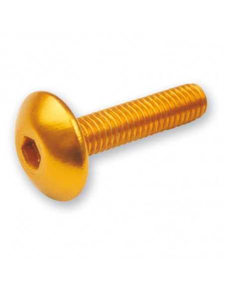 V PARTS screw allen M6x20 Gold