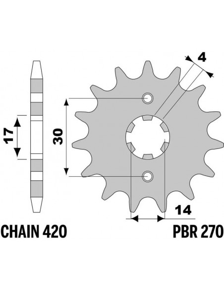 Pignon PBR acier standard 270 - 420