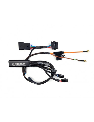 Kit DENALI CANsmart™ DL2 - lentilles jaunes