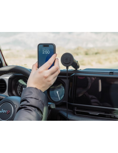 Adaptateur à boule de 22 mm QUAD LOCK