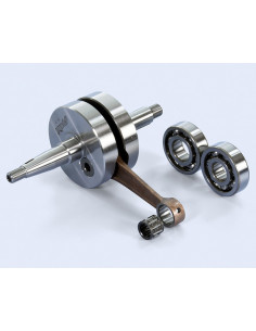 Vilebrequin POLINI 2