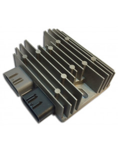 Régulateur TECNIUM by DZE 2