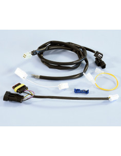 Connecteur/faisceau de câbles POLINI 2