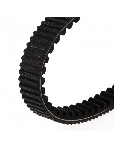 TECNIUM Courroie CVT EliteGrip