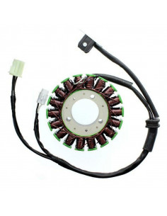 Stator ELECTROSPORT - Triumph 675