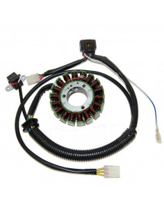 Stator ELECTROSPORT - Polaris