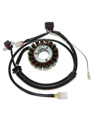 Stator ELECTROSPORT - Polaris