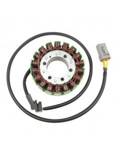 Stator ELECTROSPORT - Cam Am