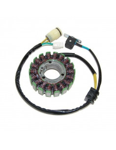 Stator ELECTROSPORT - Yamaha YFM 660R Raptor