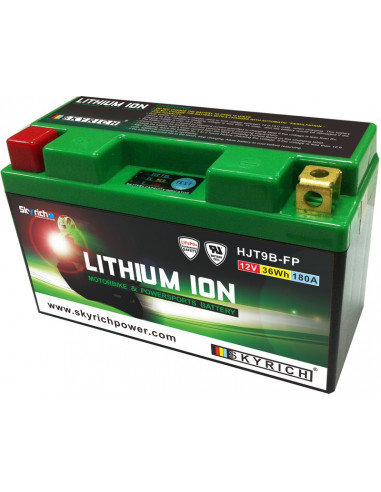 Batterie SKYRICH Lithium-Ion - LT9B