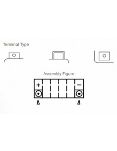 Batterie YUASA W/C sans entretien activé usine - YTZ14S 2
