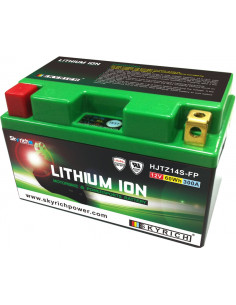 Batterie SKYRICH Lithium-Ion - LTZ14S