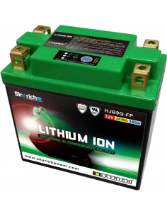 Batterie SKYRICH Lithium-Ion - LIB9