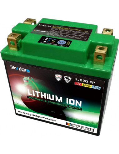 Batterie SKYRICH Lithium-Ion - LIB9