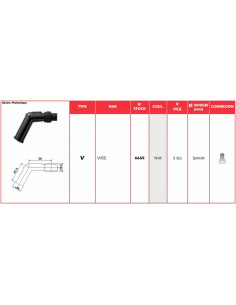 Anti-parasite NGK - V05E 2