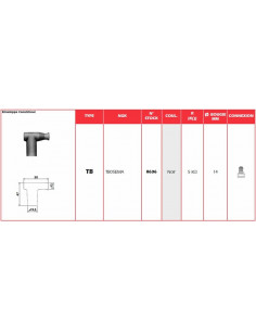 Anti-parasite NGK - TB05EMA 2
