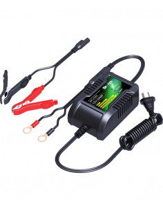 Chargeur de batterie SKYRICH 12V 2Ah