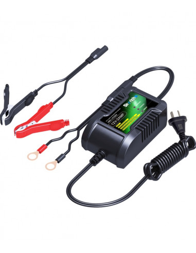 Chargeur de batterie SKYRICH 12V 2Ah