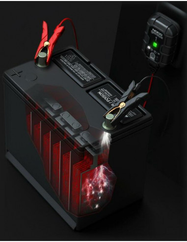 Pack promotionnel NOCO Genius1 10 Chargeurs de batteries +1 Gratuit