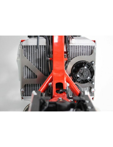 Protection de radiateur AXP aluminium - Beta RR