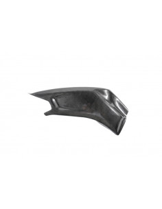 Carter de bras oscillant LIGHTECH carbone brillant Bmw S1000R