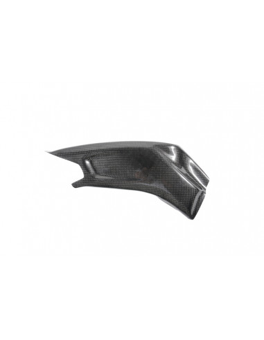 Carter de bras oscillant LIGHTECH carbone brillant Bmw S1000R