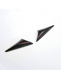 Sliders de coque arrière R&G RACING - carbone brillant