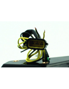 Feu arrière BIHR LED avec clignotants intégrés Triumph SPEED TRIPLE 1050/SPRINT ST 1050 2