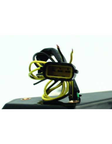 Feu arrière BIHR LED avec clignotants intégrés Triumph SPEED TRIPLE 1050/SPRINT ST 1050